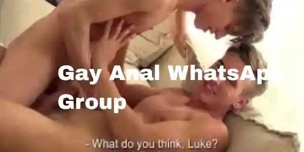 Gay Anal WhatsApp Chat Groups – Privacy & Safe Links Updated Daily