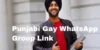 Punjabi Gay WhatsApp Group Link – Join & Explore Community Interests - Post Thumbnail